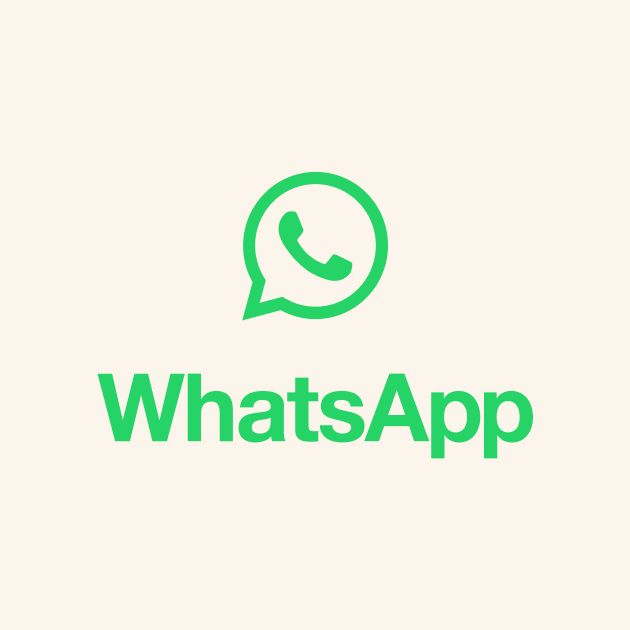 WhatsApp 消息应用图标——Meta 正在将全球使用人数最多的即时通讯工具转型为具备支付和商业功能的超级应用